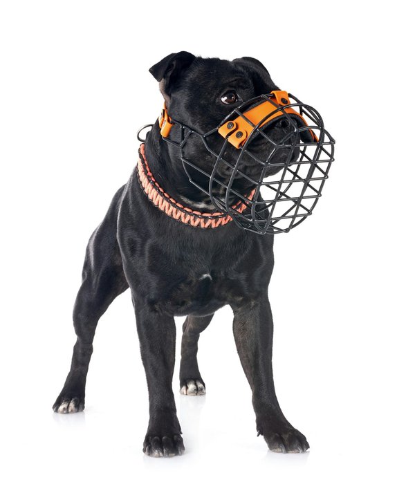 Wie kann man modische Mützen und Hüte mit formeller Kleidung kombinieren?